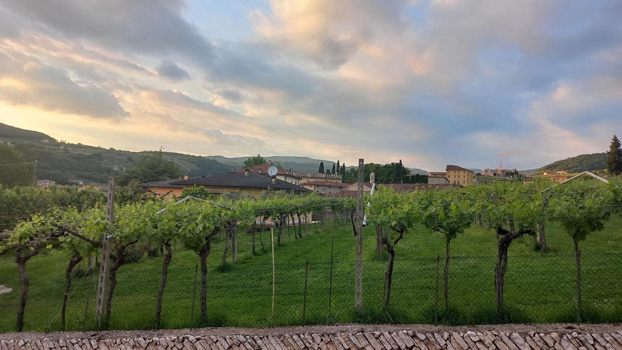 Antico Casale Allecalcarole Negrar Esterno foto